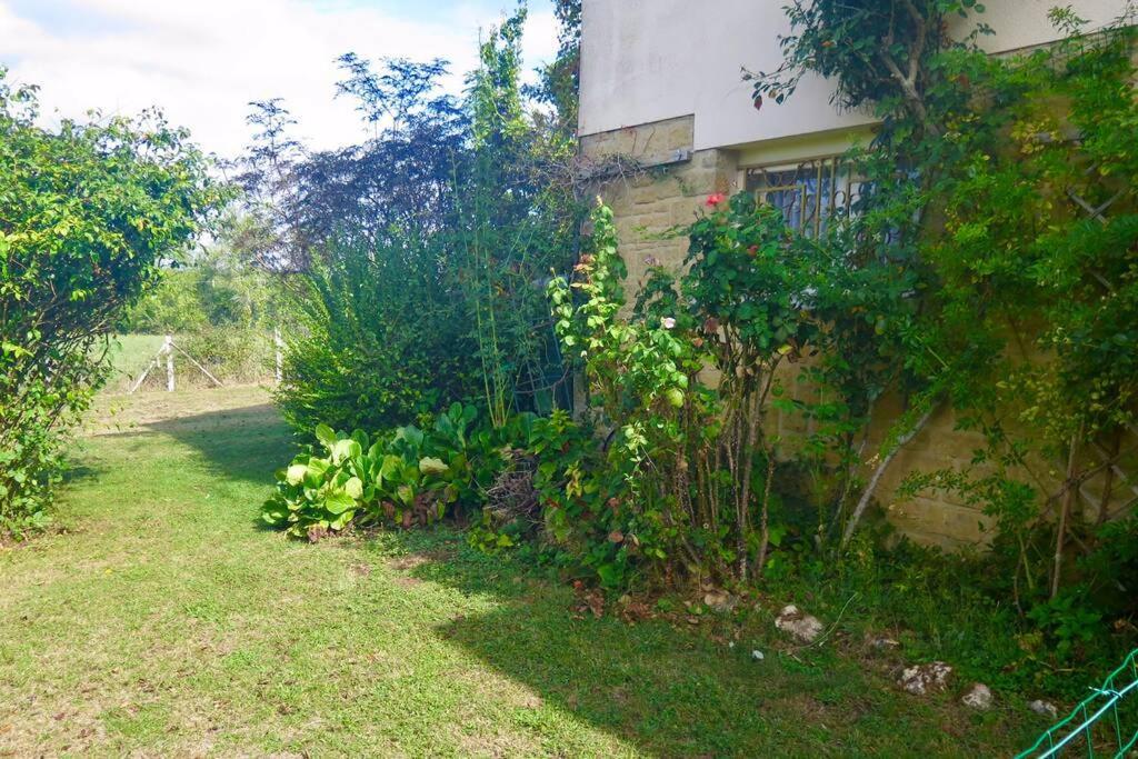 Les Petits self contained 2 bedroom apartment Molieres (Dordogne) Extérieur photo
